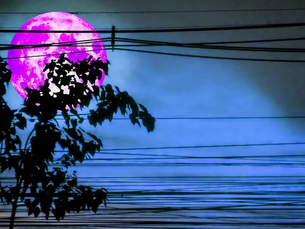 Σούπερ μωβ φεγγάρι και σιλουέτα ενέργειας ηλεκτρική γραμμή και το δέντρο — Φωτογραφία Αρχείου