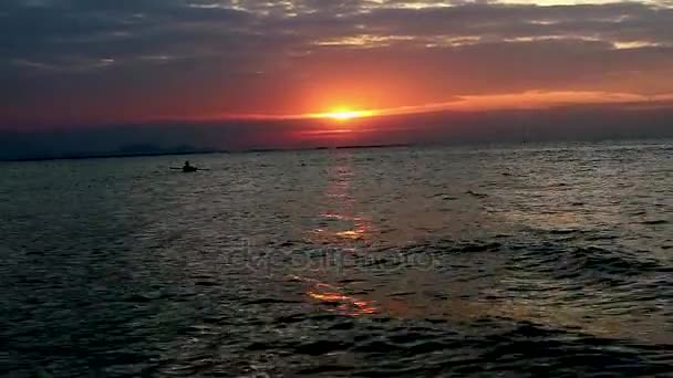 Homme trouver des fruits de mer sur la mer sombre dernière lumière du coucher du soleil — Video