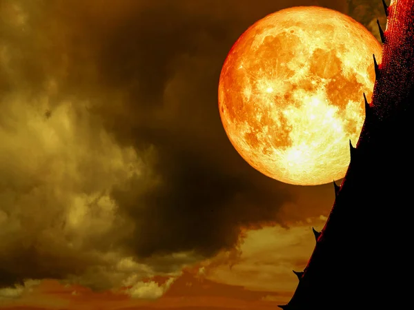 Super luna llena de sangre detrás de la silueta espina planta —  Fotos de Stock