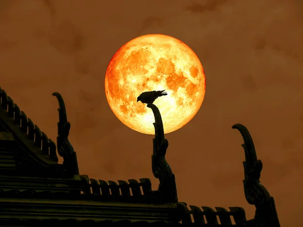 Super lună plină de sânge înapoi de pasăre siluetă pe acoperișul templului — Fotografie, imagine de stoc