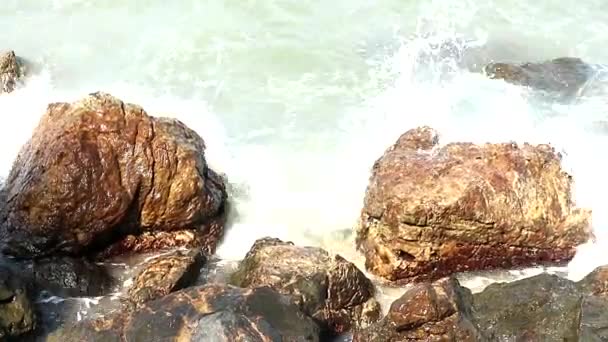 Vague attaque pierre près plage vitesse bateau sur mer silhouette arbre — Video