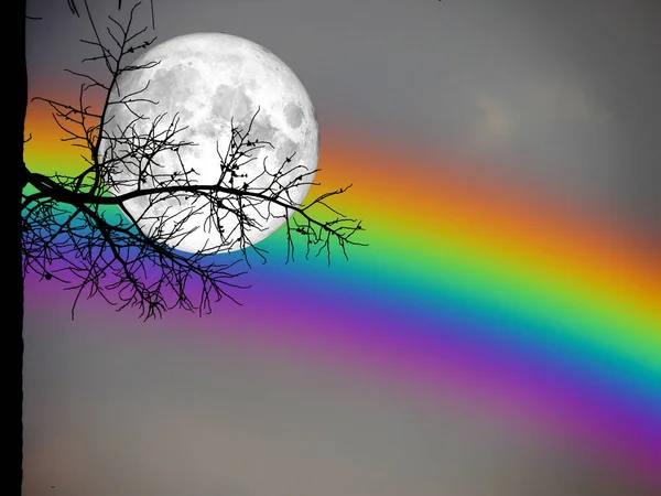 Lua cheia e arco-íris de volta silhueta palmeira seca no céu noturno — Fotografia de Stock