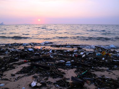 köpük plastik bambu kirliliği plaj gün batımı arka plan üzerinde