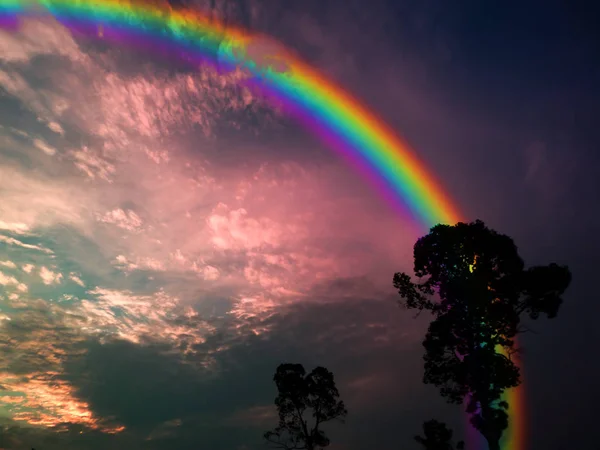 Rainbow silueta stromu tmavě šířit oblak západ slunce — Stock fotografie