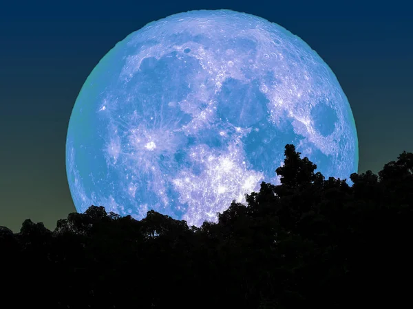 슈퍼 블루 보름달 실루엣 나무 숲에서 — 스톡 사진