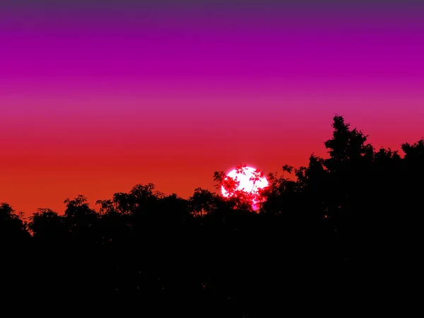 Pôr do sol volta silhueta floresta roxo cor de laranja céu — Fotografia de Stock