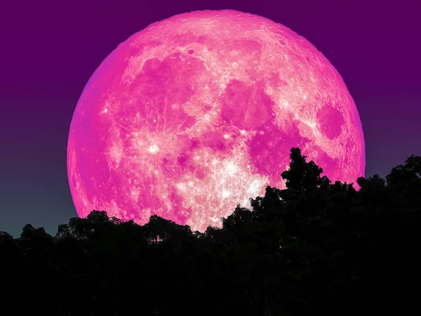 Super voller rosa Mond und Silhouettenbaum im Waldstern am Himmel — Stockfoto