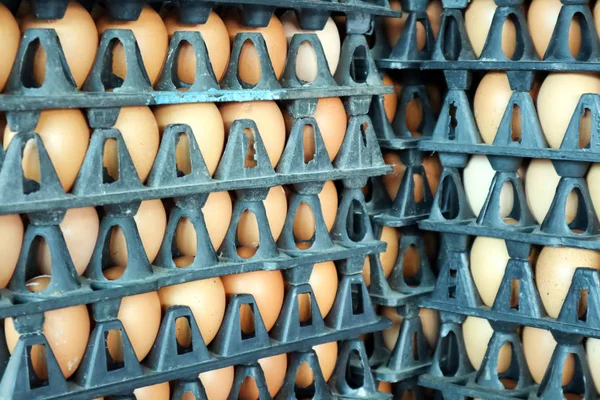 Uovo sulla confezione, uova di pollo crude per cucinare in cartone di plastica a mar — Foto Stock