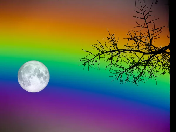 Vollmond und Regenbogenhimmel Silhouette trockene Palme — Stockfoto