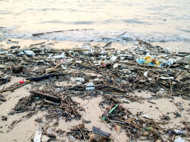 Kauçuk köpük plastik ve plajda atık kirliliği