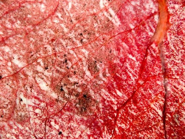 Crack czerwony korzeń marmur granit kamień luksusowe wnętrza dloor — Zdjęcie stockowe