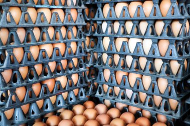 paketi üzerinde mar, plastik yönetim kurulu içinde yemek pişirmek için çiğ tavuk yumurta yumurta