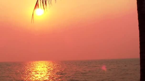 Ηλιοβασίλεμα στη θάλασσα και σιλουέτα καρύδας — Αρχείο Βίντεο