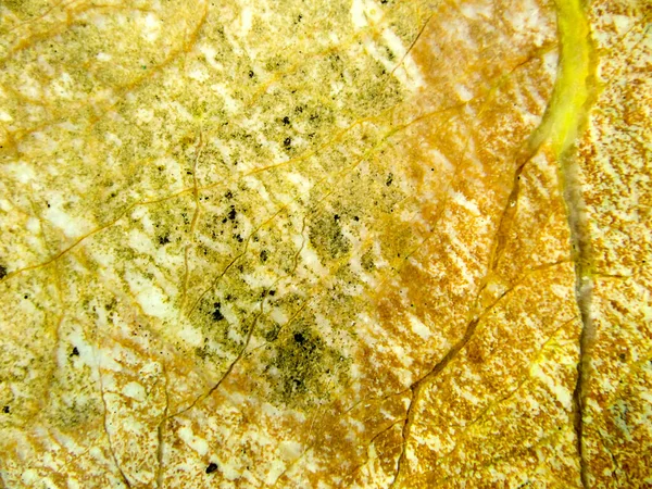 Ελαφρύ κίτρινο ρωγμή ρίζα μάρμαρο, γρανίτης, πέτρινο, πολυτελές εσωτερικό flo — Φωτογραφία Αρχείου