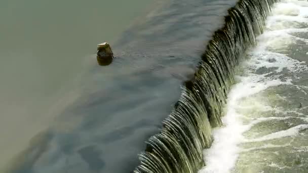 Пластиковое стекло на поверхности воды в канале загрязнение окружающей среды — стоковое видео