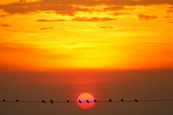 Zonsondergang terug op silhouet donkerrood oranje avondwolk op de s — Stockfoto