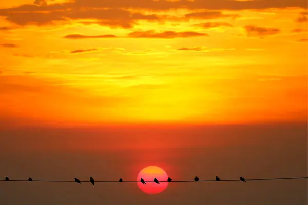 Puesta de sol de nuevo en la silueta de color rojo oscuro nube de noche en el s —  Fotos de Stock