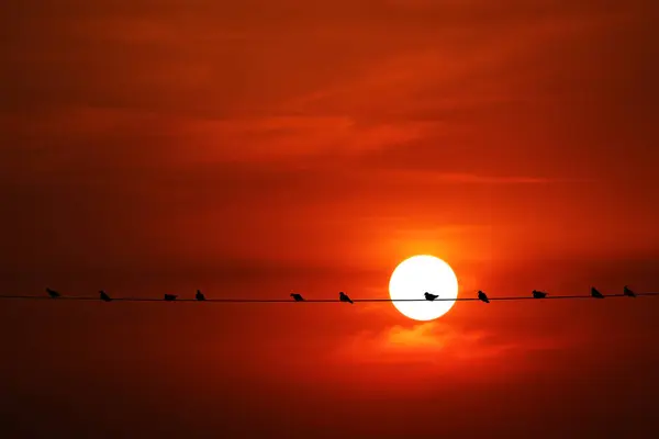 Sunset back on silhouette dark red orange evening cloud on the s — Stock Photo, Image