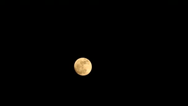 Πορτοκαλί φεγγάρι βελανιδιάς στο νυχτερινό ουρανό lapse1 — Αρχείο Βίντεο