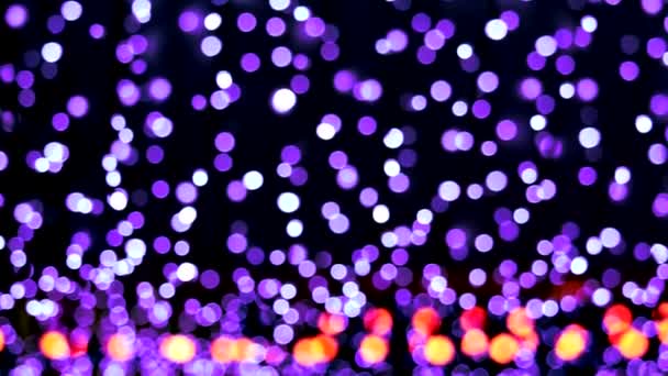 Panning blur bokeh purple light move to right — Stock Video