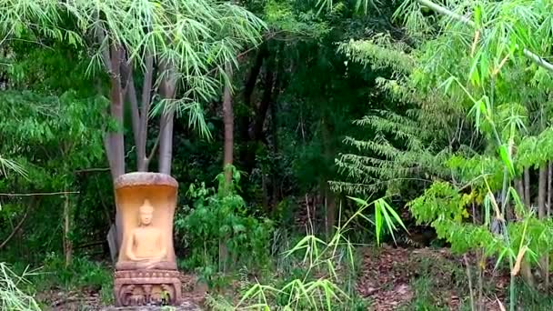 Estatua de Buda de estilo de meditación en el bosque — Vídeo de stock