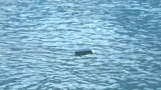 Pěna byla hozena do moře a vznášela se na vodní hladině — Stock video