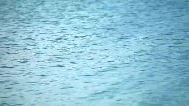 De la mousse antichoc a été jetée à la mer et flottée à la surface de l'eau. — Video