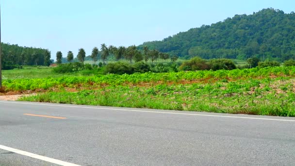 In den Ausläufern der Landschaft, das Pflanzen von Maniok und Wirtschaftspflanzen aufgrund günstiger Wetterbedingungen für eine gute Produktion — Stockvideo