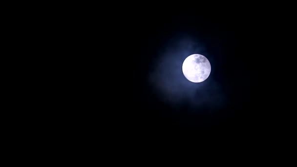 Full Long Nights Σελήνη και σεληνόφως στο νυχτερινό ουρανό και σύννεφο περάσματος1 — Αρχείο Βίντεο