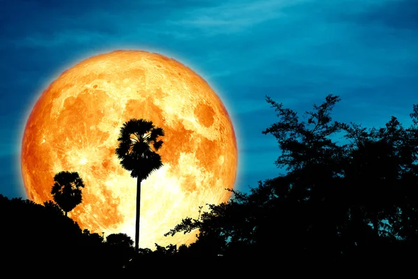 Luna llena de sangre fría en el cielo nocturno y nube blanca y silueta — Foto de Stock