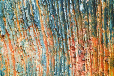 İç paslanma tonu için antik granit levha yüzey mağarası 