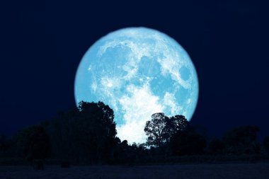 siluet orman üzerinde gece gökyüzünde dolunay geri