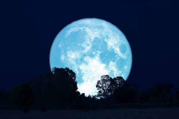 Luna llena de dinero en el cielo nocturno de vuelta sobre el bosque de siluetas — Foto de Stock