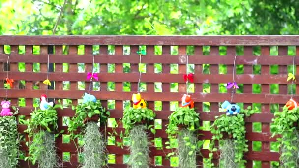 Dřevěný plot a zvířata květináč a zdobit rostlina visí na zahradě — Stock video