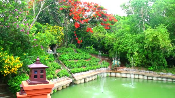Colorida flor en el jardín y fuente en el estanque — Vídeo de stock