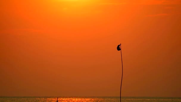 Silhouet vlag op de zee zonsondergang terug op rode hemel — Stockvideo