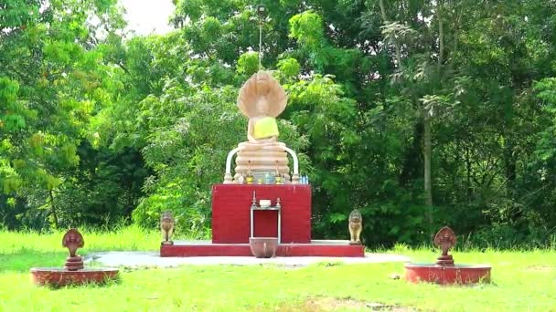 Budda statusu wykonane przez piaskowca stylu medytacji w ogrodzie świątyni — Wideo stockowe