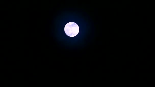 Pleine lune et clair de lune sur le ciel nocturne et le nuage passant — Video