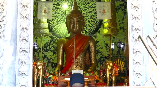 Budistas vêm para prestar respeito às estátuas de Buda no templo — Vídeo de Stock