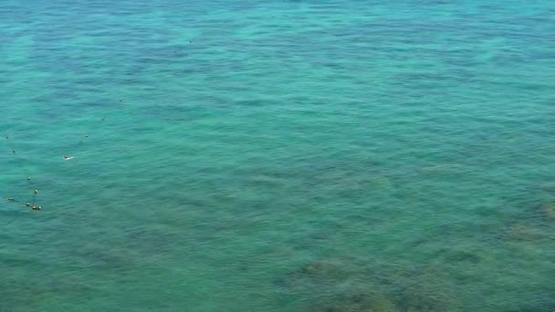 Vista de la superficie submarina del arrecife y reflejo de la luz solar 1 — Vídeos de Stock