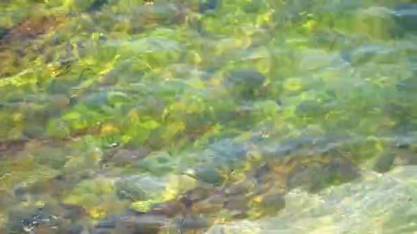 Vista Superficie Del Arrecife Bajo Agua Reflejo Luz Solar — Vídeo de stock