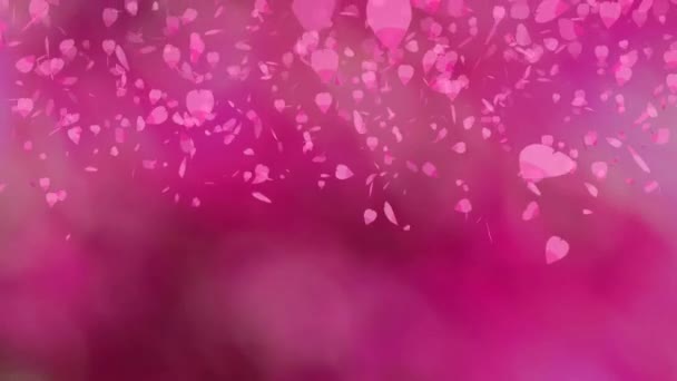 Million pink sakura leaves falling blur dark pink background — Stock Video