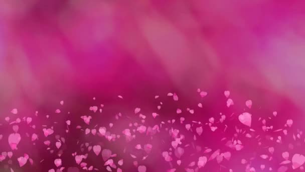 Millió rózsaszín sakura levelek lebeg a levegőben sötét rózsaszín háttér — Stock videók