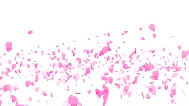 Миллион розовых листьев сакуры плавающих в воздухе изолированный фон — стоковое видео
