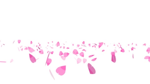 Pink sakura leaves twirly flying isolated background — Stock Video