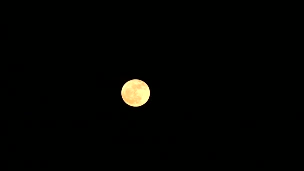 pleine lune moisson se déplaçant vers le haut sur le ciel nocturne clair 