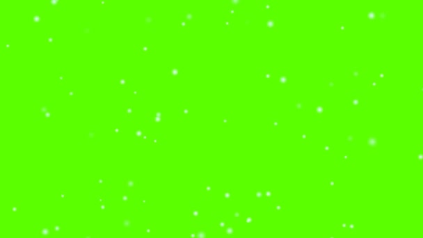 Snow fall and soft wind effect green screen — Stock Video