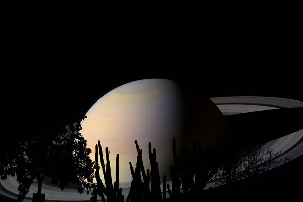 Кольца и сатурн планеты над деревом на поле в ночном небе — стоковое фото