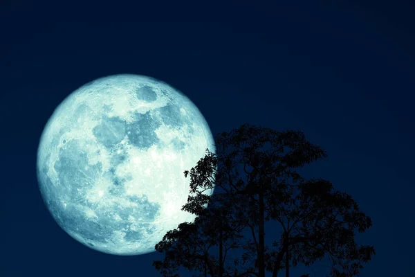 Super full harvest moon on night sky back silhouette tree and cl — Stock Photo, Image