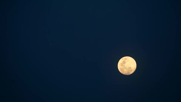 Snow Moon no céu noturno em movimento lapso de tempo — Vídeo de Stock